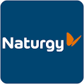 Naturgy (infrastructure Business)