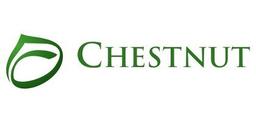 Chestnut Corporate Finance