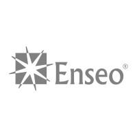 ENSEO LLC