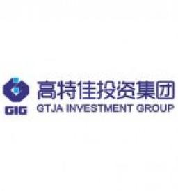 Gtja Investment Group