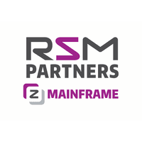 RSM PARTNERS LTD