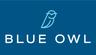 BLUE OWL CAPITAL