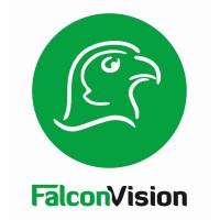 Falcon Vision