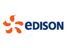Edison Renewables Business