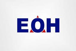 Eoh (four Information Services Subsidiaries)