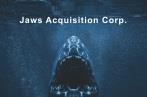 Jaws Acquisition Corp
