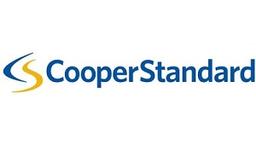 Cooper Standard (european And Indian Operations)