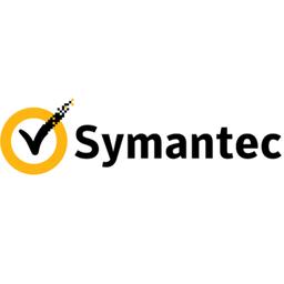Symantec (cyber Security Services Business)