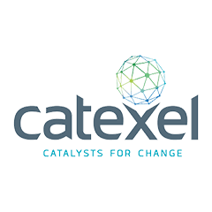 Catexel Group Homecare, Cellulosics And Synthesis Business