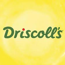 DRISCOLLS'S