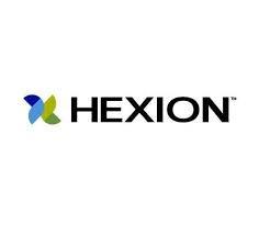 Hexion (global Epoxy Business)