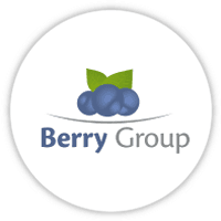 Berry Global (health, Hygiene And Specialties Global Nonwovens And Films Business)