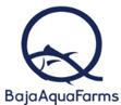 Baja Aqua