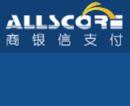 Allscore Payment Services