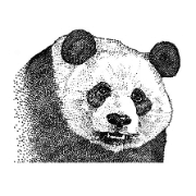 Panda Hummel Station