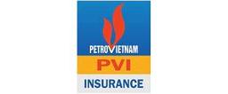 Pvi Holdings