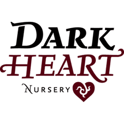 Dark Heart Nursery