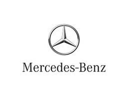 Mercedes-benz (russian Assets)