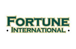 FORTUNE INTERNATIONAL LLC