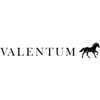 Valentum Partners