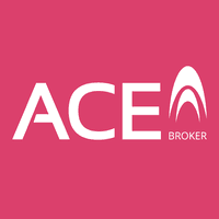 Ace Insurance Group