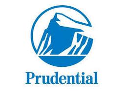 Prudential Life Insurance Company Of Korea