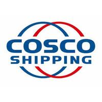 COSCO SHIPPING FINANCIAL HOLDINGS CO. LIMITED