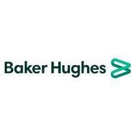Baker Hughes (surface Pressure Control Business)