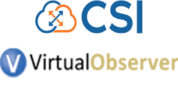 Virtual Observer