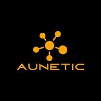 Aunetic (ex-blika Solutions Ab)