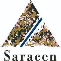 SARACEN MINERAL HOLDINGS LTD