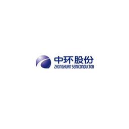 Tianjin Zhonghuan Semiconductor Co