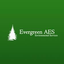 Evergreen Aes