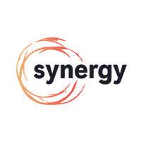 SYNERGY METALS INVESTMENTS HOLDING LTD