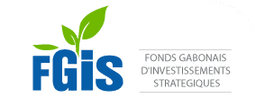 Fonds Gabonais D'investissements Strategiques