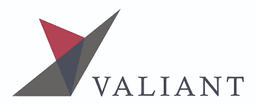 Valiant Capital Partners