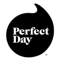 PERFECT DAY INC