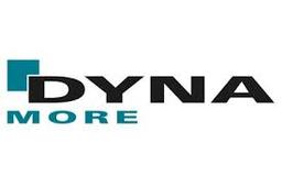 Dynamore Holding
