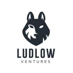 LUDLOW VENTURES LLC