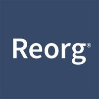 REORG RESEARCH INC