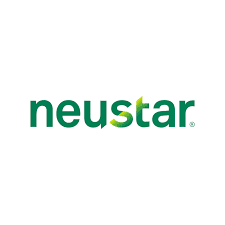 NEUSTAR INC (REGISTRY BUSINESS)