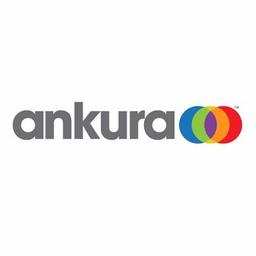 ANKURA CONSULTING GROUP LLC