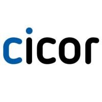 Cicor Group