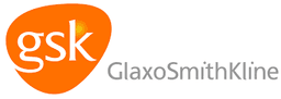 Glaxosmithkline (pharmaceutical And Consumer Business In Egypt)