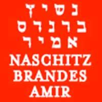 Naschitz Brandes Amir