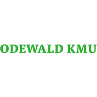 Odewald & Compagnie Gesellschaft Fur Beteiligungen Mbh