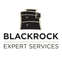 Blackrock Expert Services Group