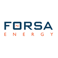 Forsa Energy Gas Holdings