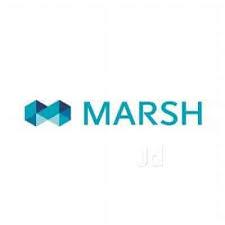 Marsh India Insurance Brokers