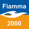 Fiamma 2000 (lpg Distribution And Sales Business)